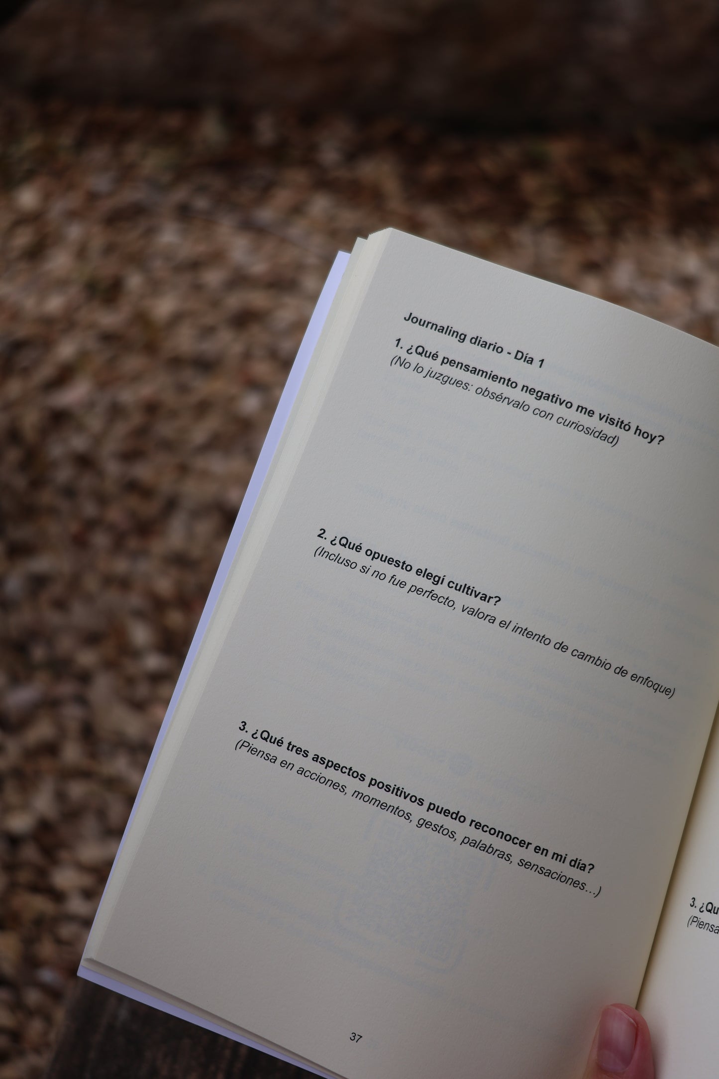 Diario de Gratitud, Abundancia y Merecimiento | GRATITUDE JOURNAL