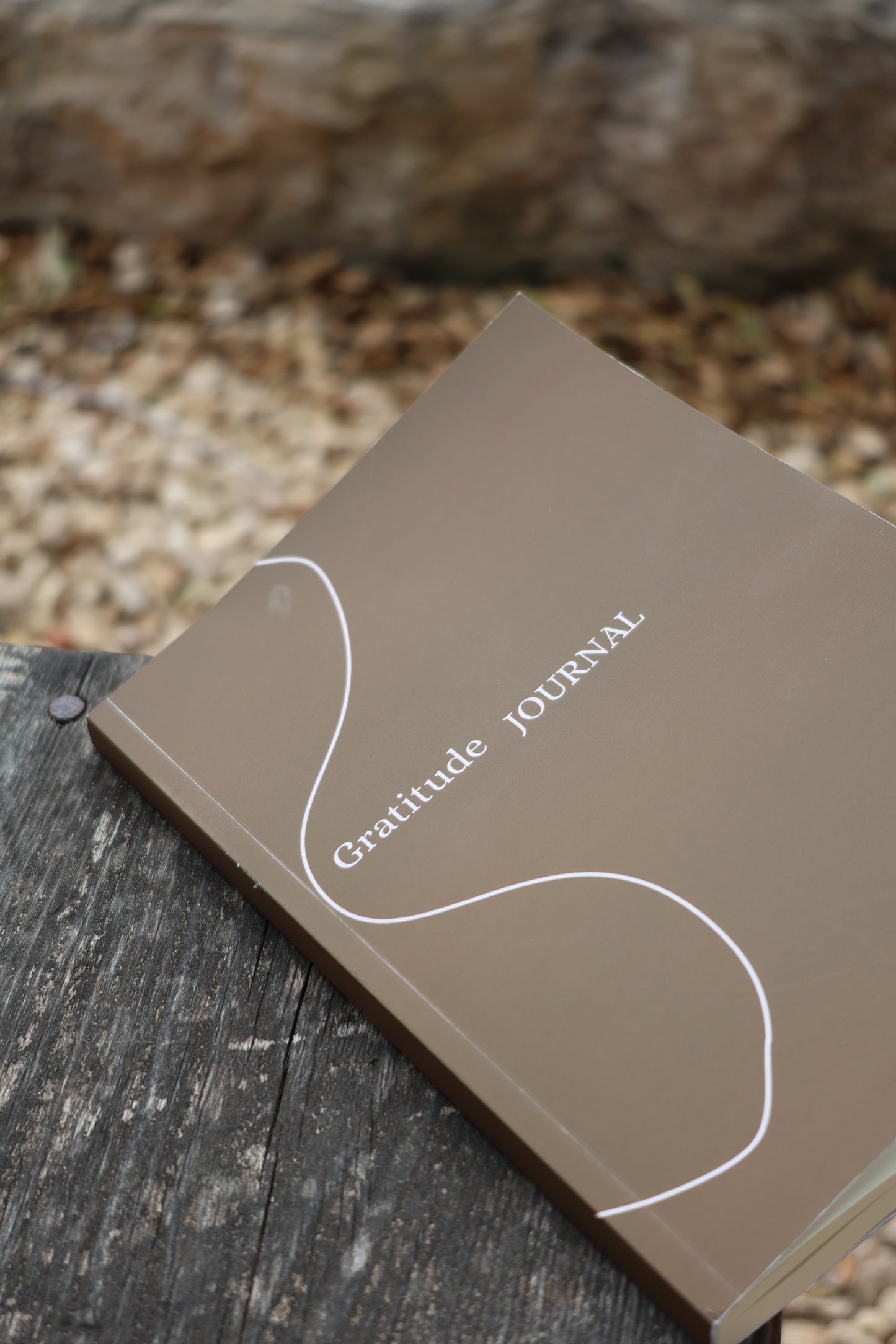 Diario de Gratitud, Abundancia y Merecimiento | GRATITUDE JOURNAL